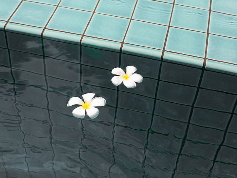 kwiaty w basenie